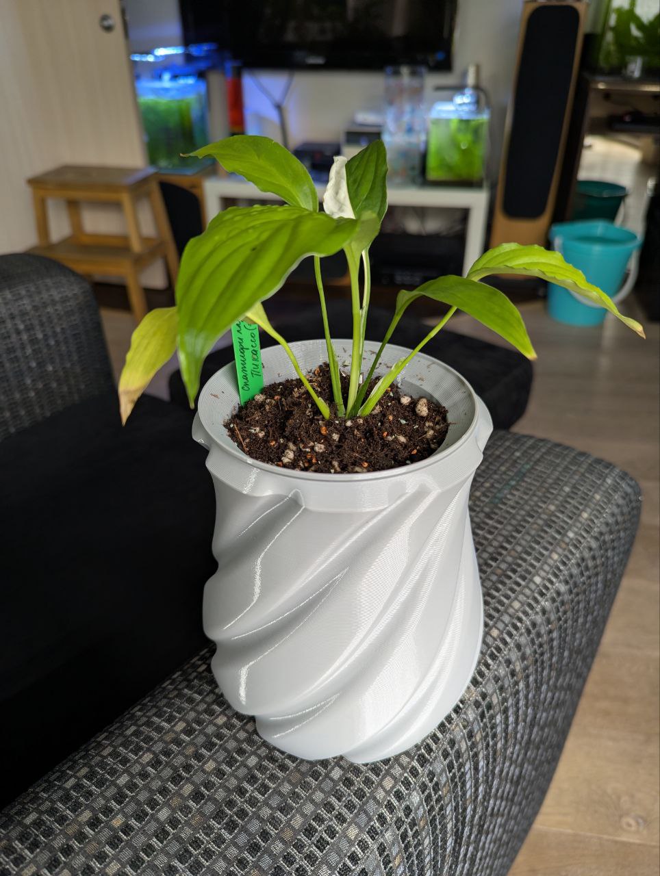 2025-11-20 19.19.04.jpg