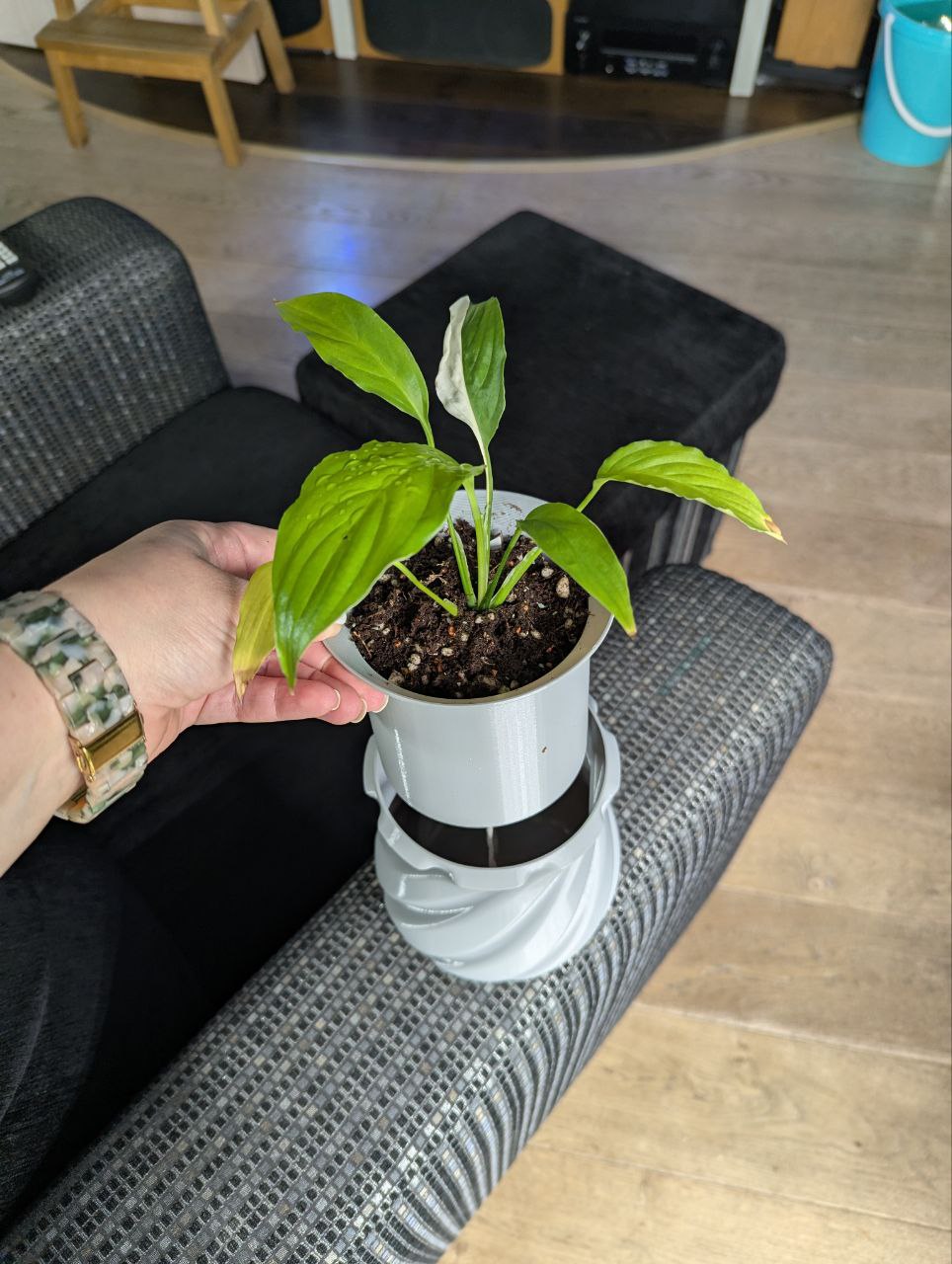 2025-11-20 19.19.32.jpg