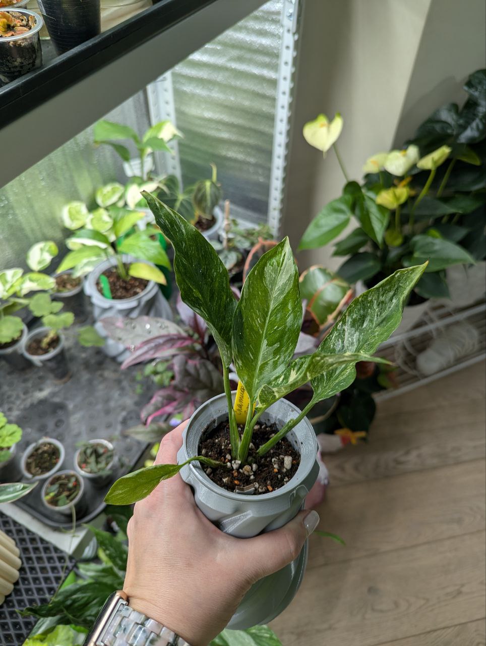 2025-11-20 19.19.42.jpg