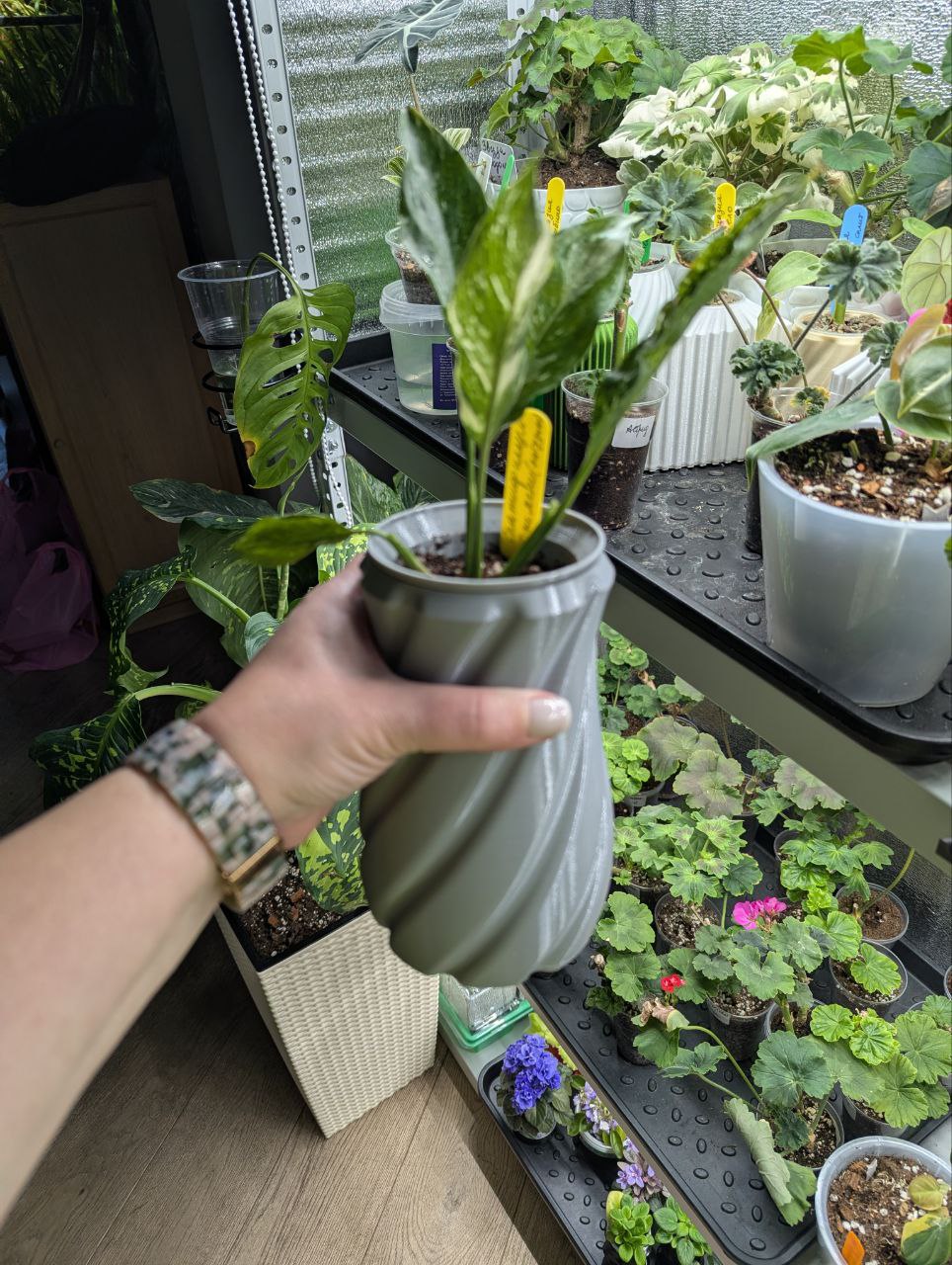 2025-11-20 19.19.46.jpg