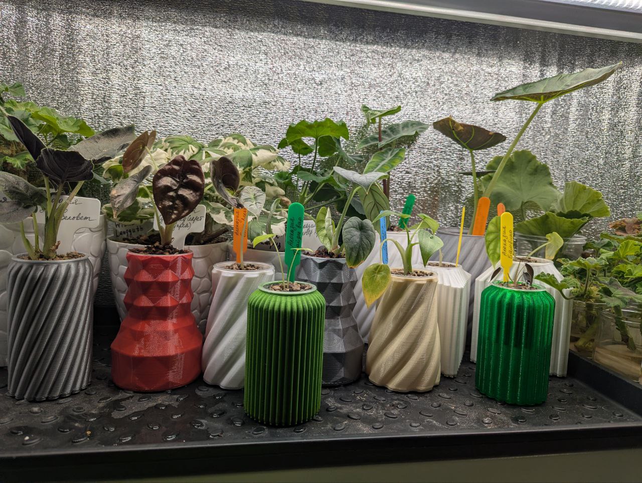 2025-11-20 19.22.01.jpg