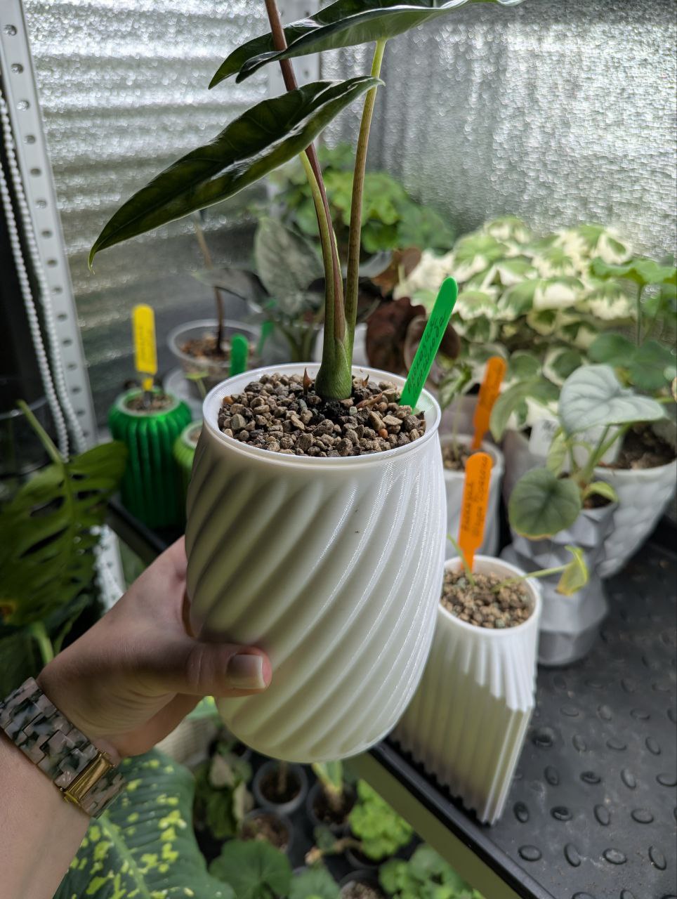 2025-11-20 19.48.31.jpg