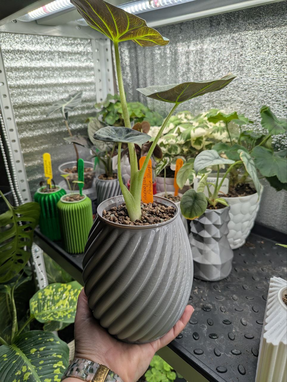 2025-11-20 19.49.00.jpg